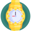 Luxury Watch Icon